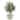 31" Olive Artificial Tree in Bowl Planter