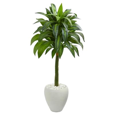 52" Dracaena Artificial Plant in White Planter