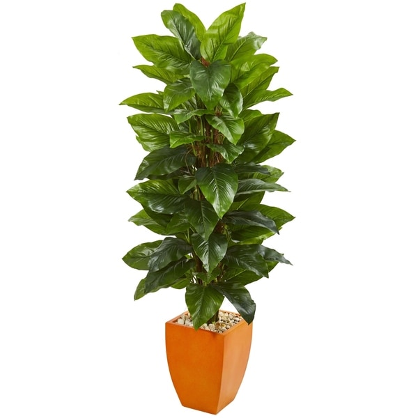 Shop Nearly Natural 5.5foot Large Leaf Philodendron Real