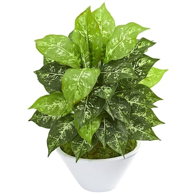 Dieffenbachia Artificial Plant in White Bowl