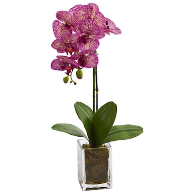 24" Orchid Phalaenopsis Artificial Arrangement in Vase