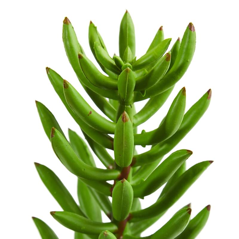20" Succulent Spray Artificial Plant (Set of 6)