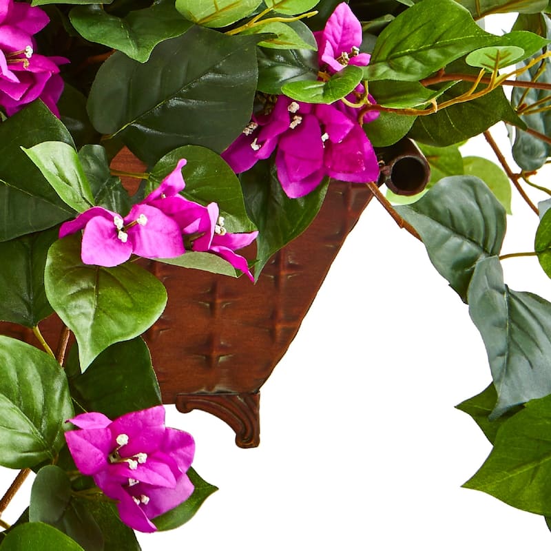 Bougainvillea in Metal Planter