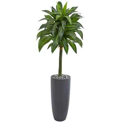 5' Dracaena Artificial Plant in Gray Planter