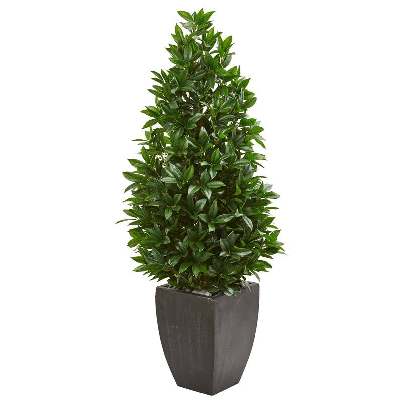 56" Bay Leaf Cone Topiary Artificial Tree UV Resistant in Black Planter (Indoor/Outdoor)