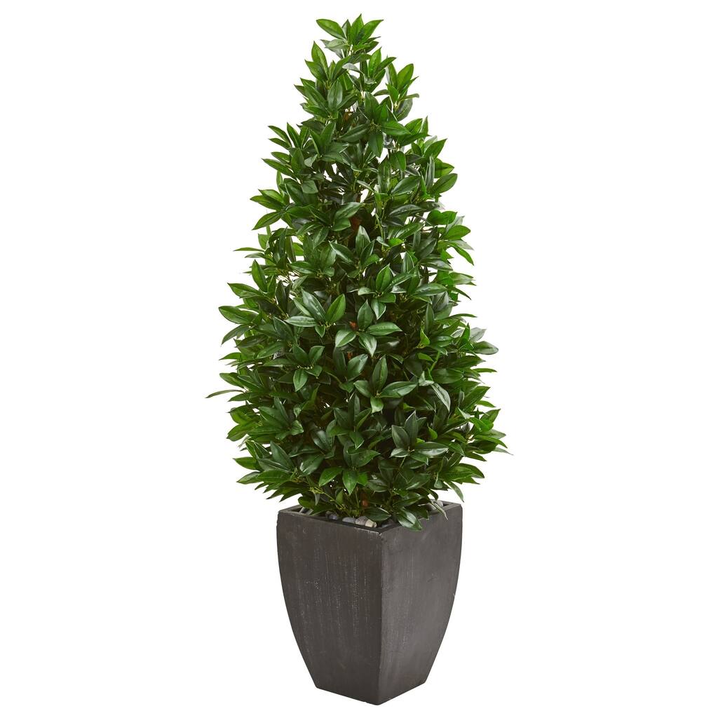 56" Bay Leaf Cone Topiary Artificial Tree UV Resistant in Black Planter (Indoor/Outdoor)