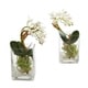 Mini Phalaenopsis Orchid Artificial Arrangement (set Of 2) - Bed Bath 