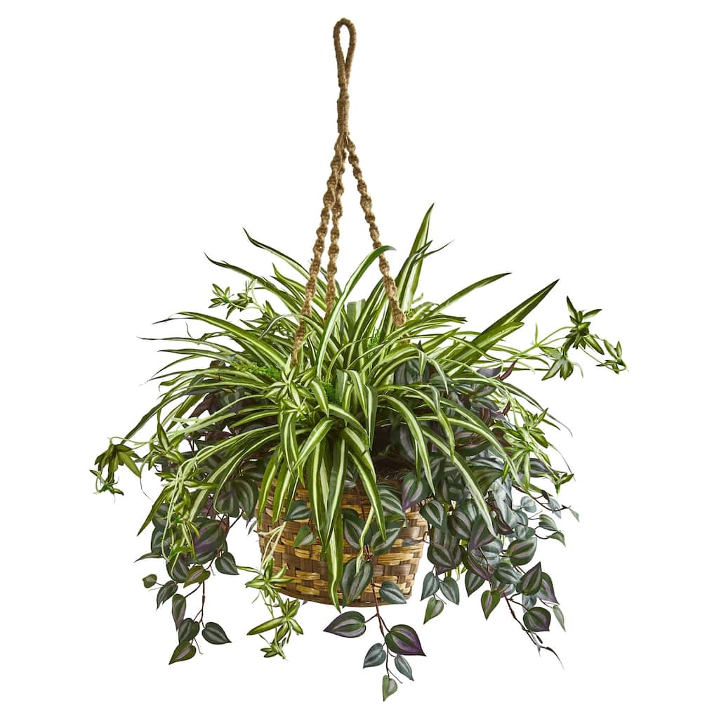 30" Wandering Jew & Spider Artificial Plant in Hanging Basket