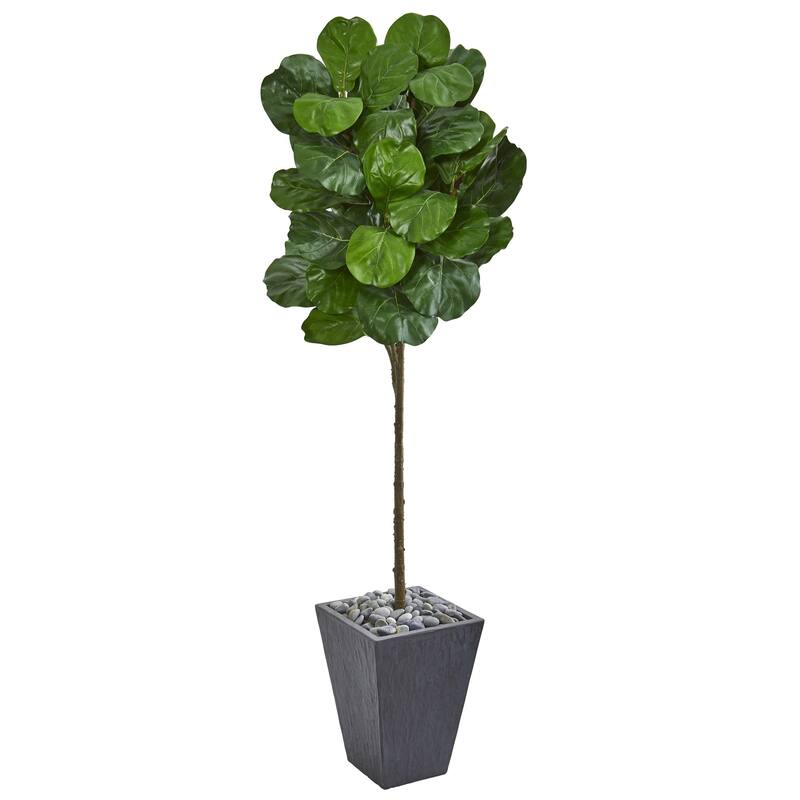6' Fiddle Leaf Artificial Tree in Slate Finished Planter