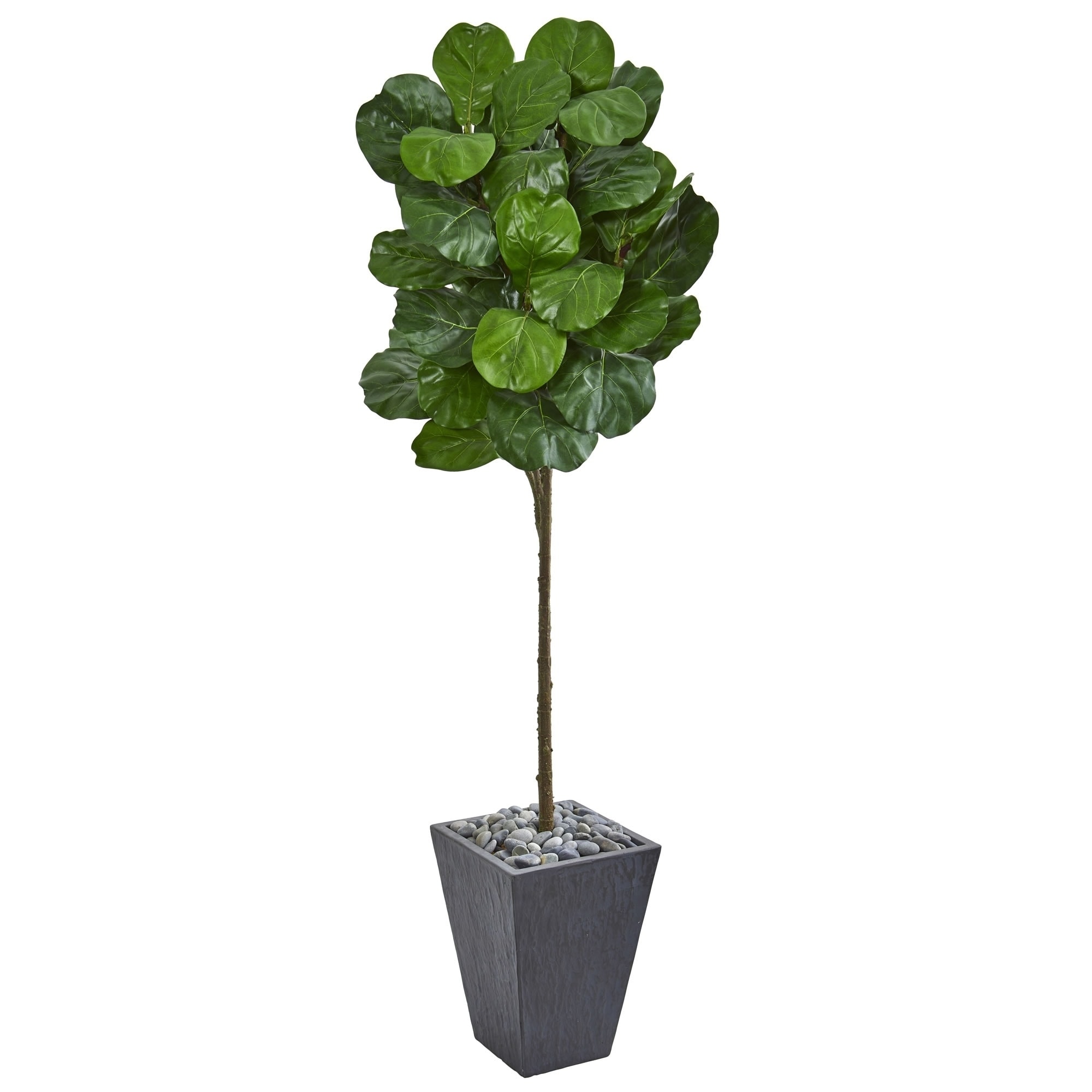 6' Fiddle Leaf Artificial Tree in Slate Finished Planter