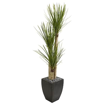 63" Yucca Artificial Tree in Black Planter