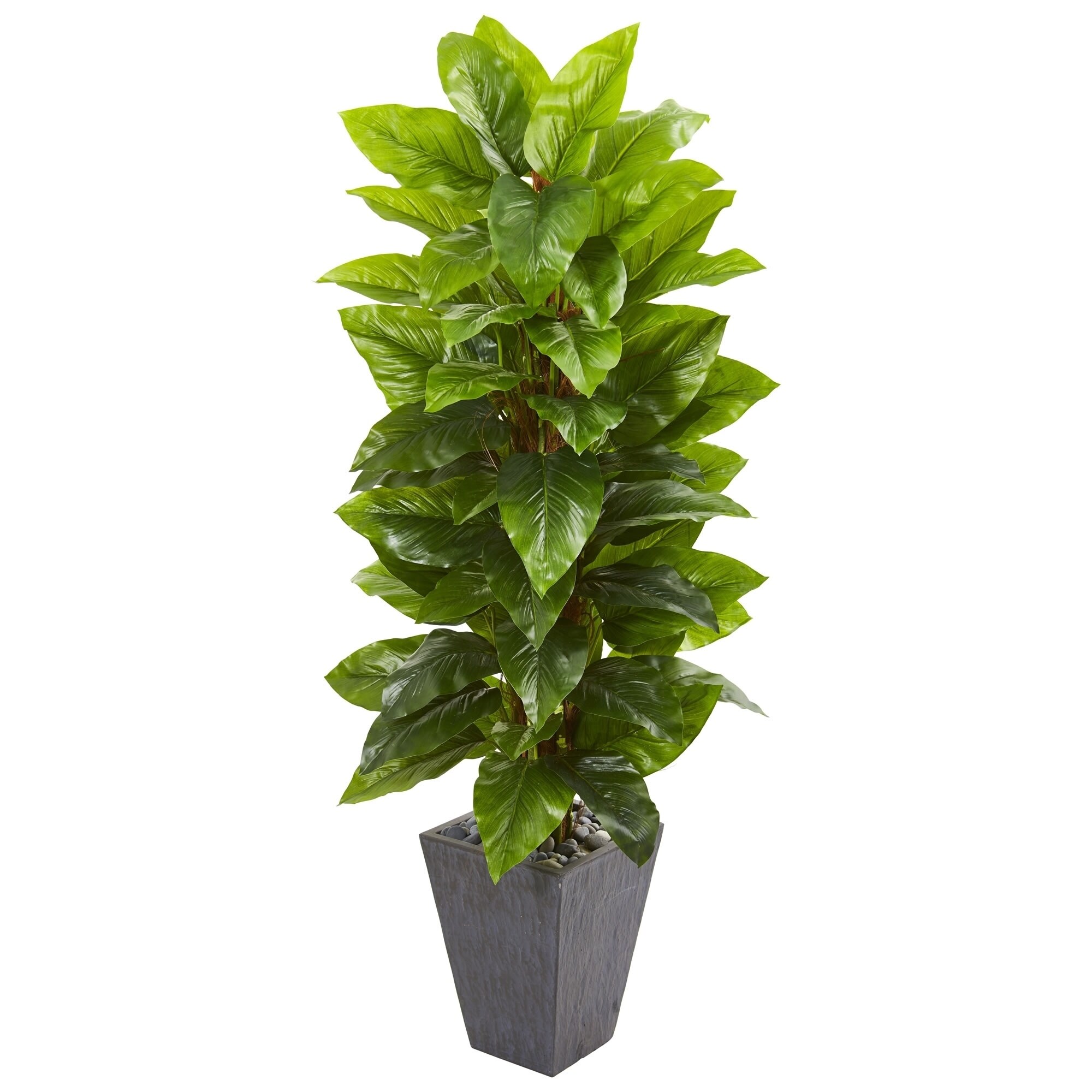 5' Large Leaf Philodendron Artificial Plant in Slate Planter (Real Touch) -  Bed Bath & Beyond - 23500618