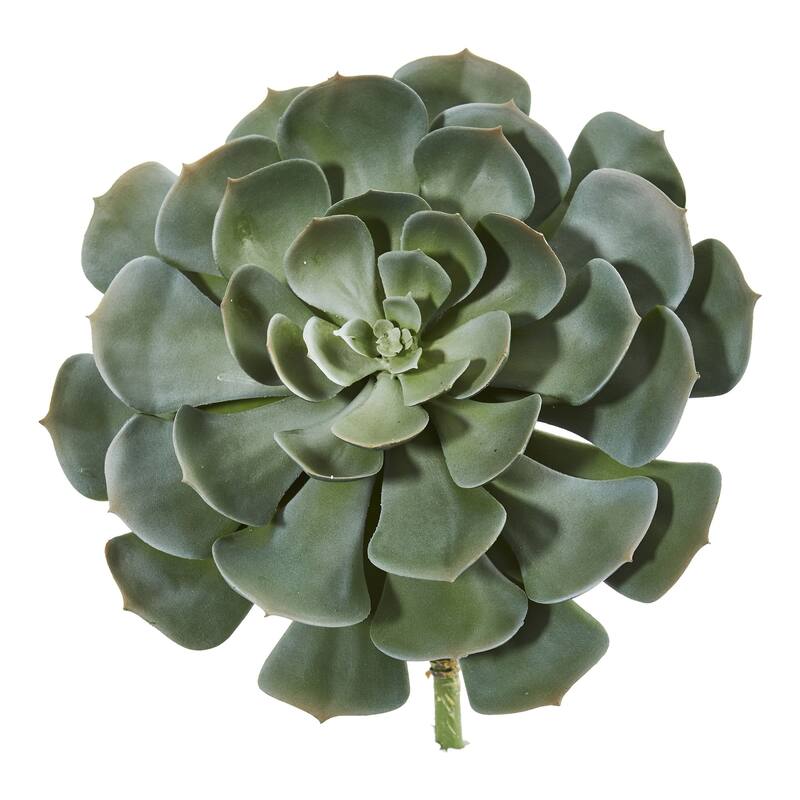 13" Giant Echeveria Succulent Pick Artificial Plant (Set of 2)