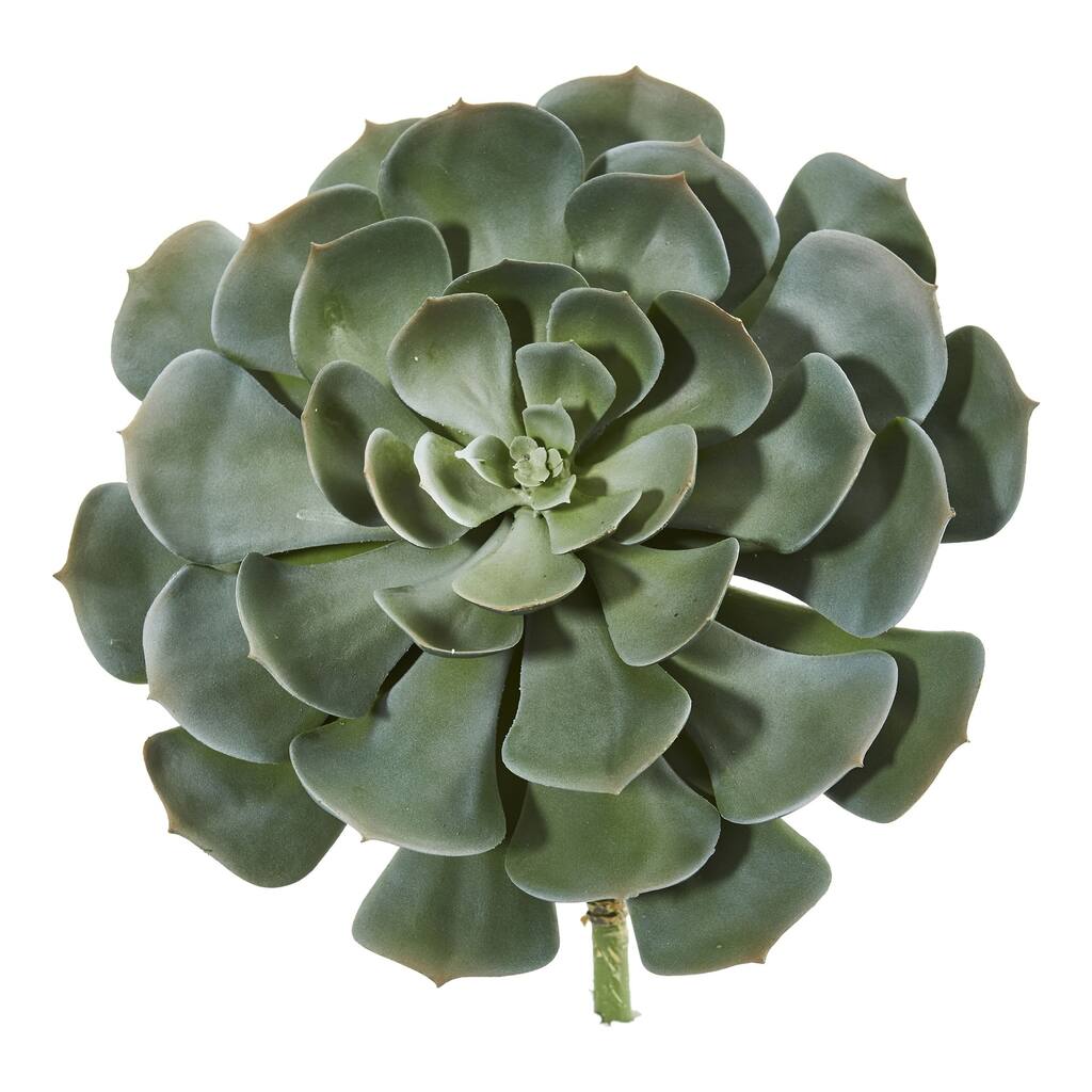13" Giant Echeveria Succulent Pick Artificial Plant (Set of 2)