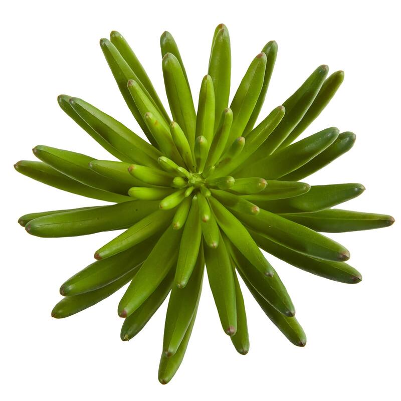 12" Succulent Artificial Plant (Set of 6)