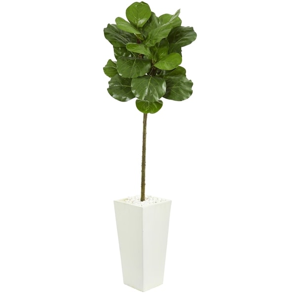 Nearly Natural 5.5-foot Fiddle Leaf Artificial Tree in White Tower Planter. Opens flyout.