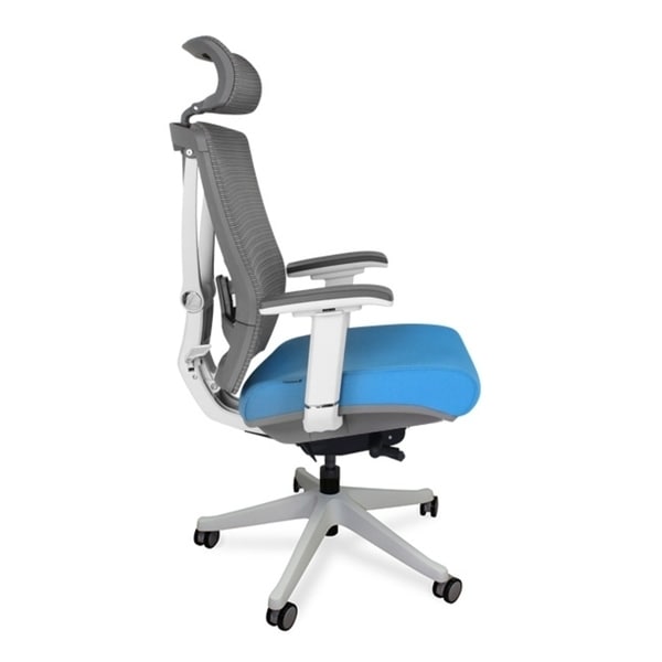 Autonomous ergo 2025 chair 1