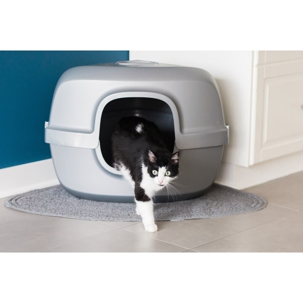 corner litter box with lid
