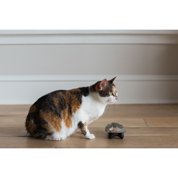 Jackson Galaxy Eclipse Bowl 2025