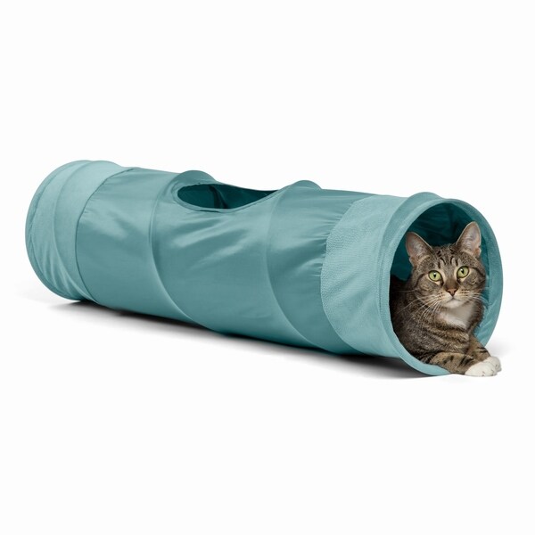 cat tunnel with tent