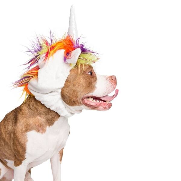 Shop Large Dog Unicorn Costume Overstock 23542803