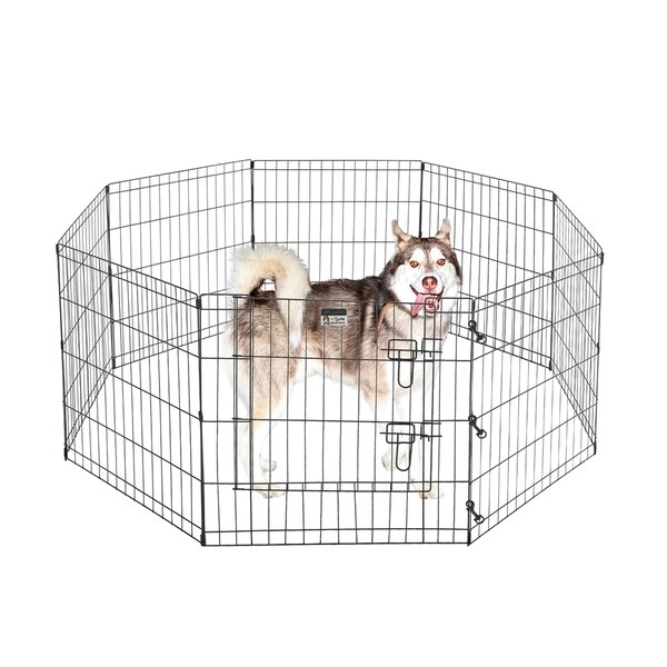 24 x 24 dog crate