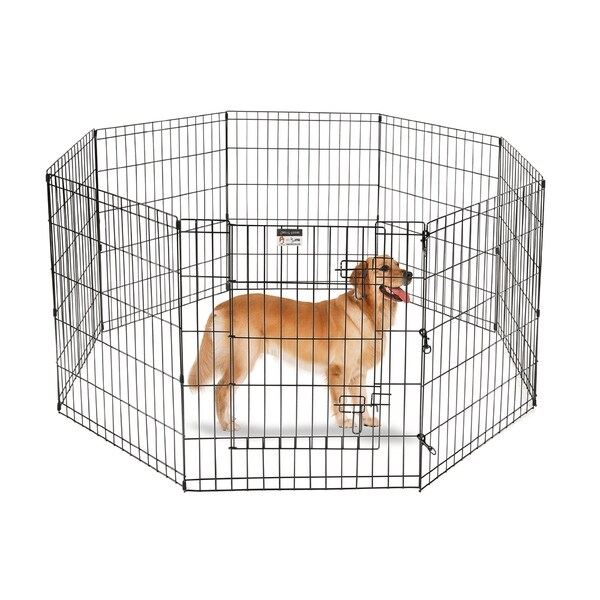 cheap dog playpen