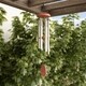 preview thumbnail 8 of 19, Metal and Wood Wind Chime- 34.5" Tuned Metal Wind Chimes by Pure Garden Silver