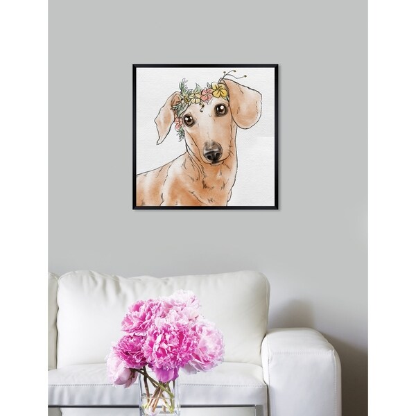 crown dachshund