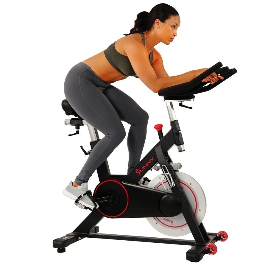 sunny health spin bike