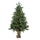 4.5' Pre-Lit Potted Sierra Norway Spruce Slim Artificial Christmas Tree ...