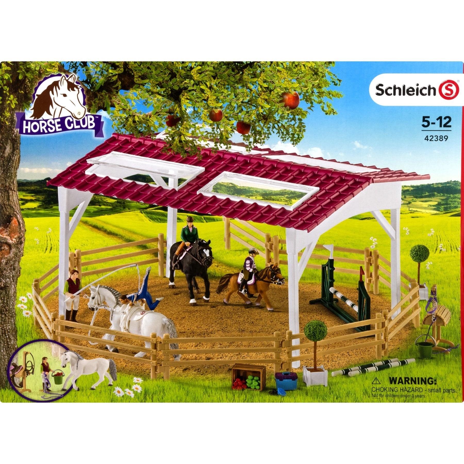 schleich horse club riding school