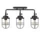 preview thumbnail 1 of 2, Golden Lighting Seaport Black Steel 3-light Semi-Flush Mount