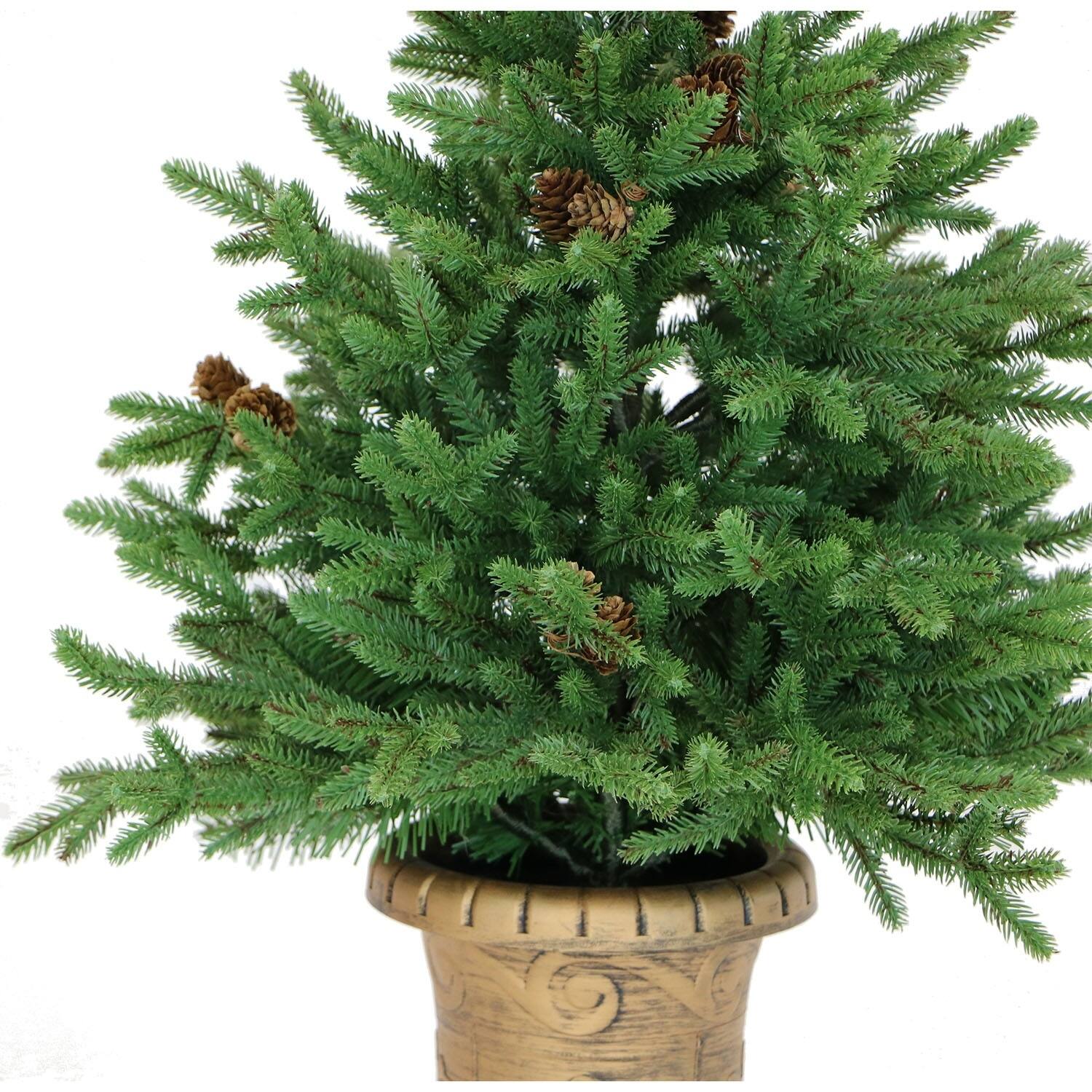 Fraser Hill Farm 3.0' Noble Fir Potted Tree - No Lights (SET 2) - Bed ...