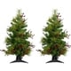 preview thumbnail 1 of 0, Fraser Hill Farm 4.0' Newberry Pine Tree - Clr LED Lght (SET 2)