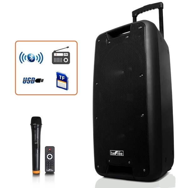 portable speaker with microphone input