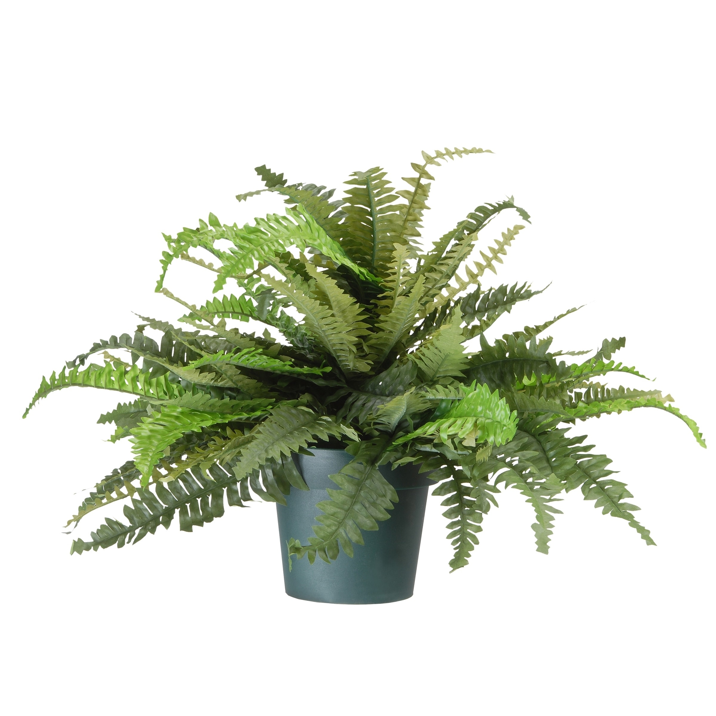 Stand Mixer Full Cover. Large Ferns 