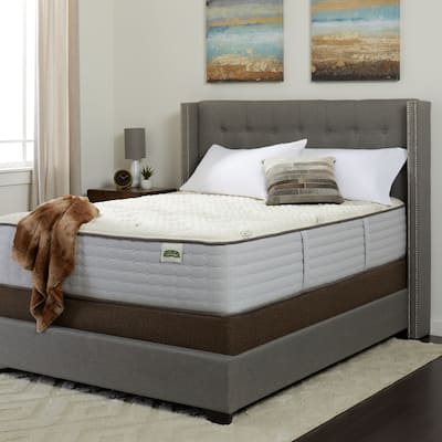 King Size Ultra Plush Mattresses Shop Online At Overstock