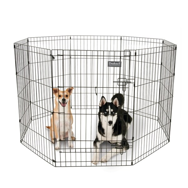 doskocil dog crate