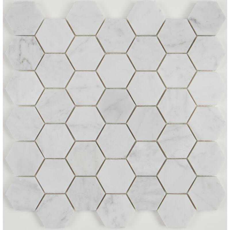 Natural Stone Marble 6" HEX Mosaic Marble Black and White - 11.75 x 14.5