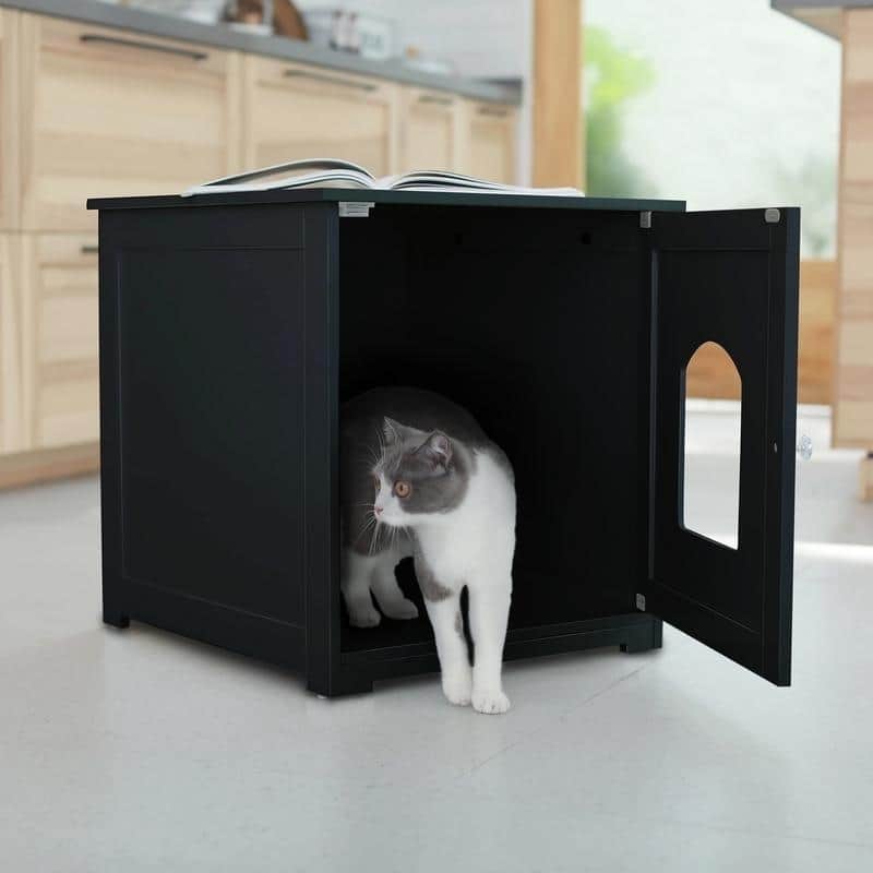 Kitty Litter Loo