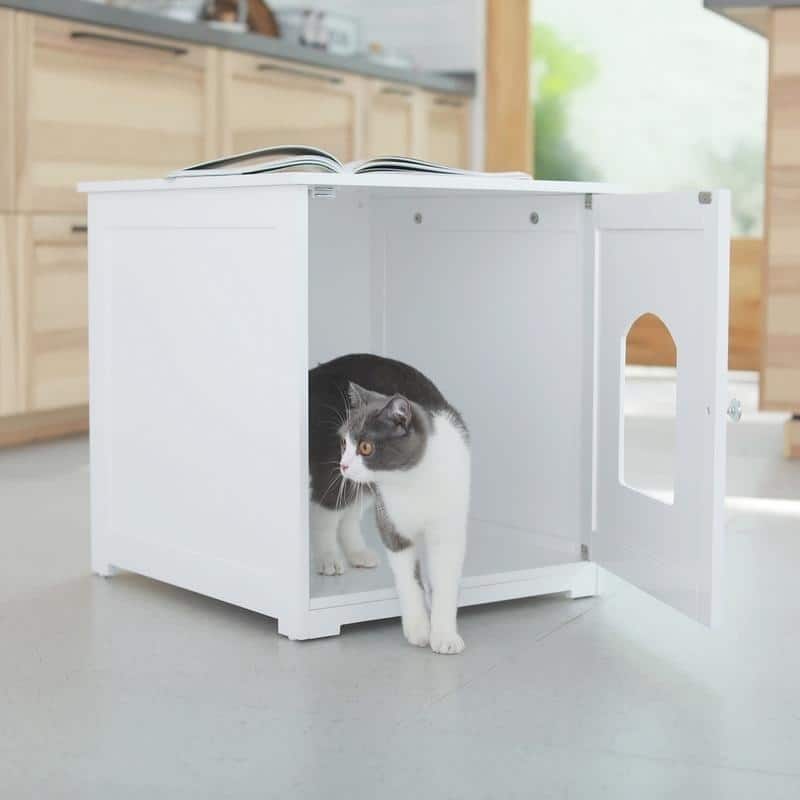 Kitty Litter Loo