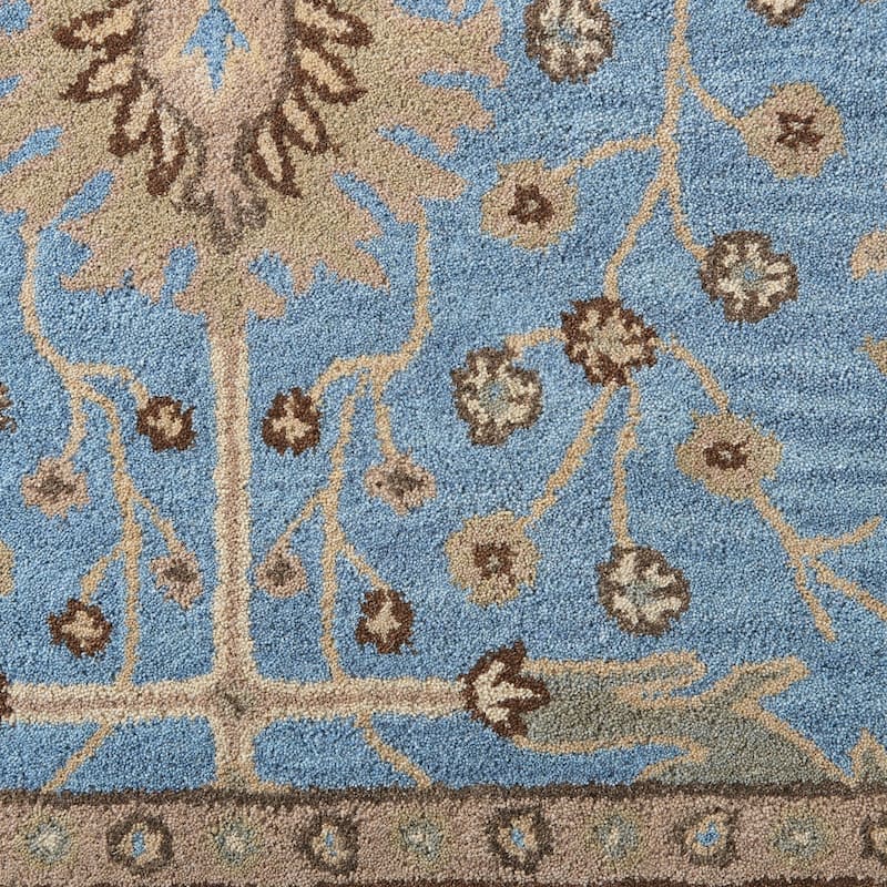 Nourison Jazmine Hand-Tufted Vintage Traditional Area Rug
