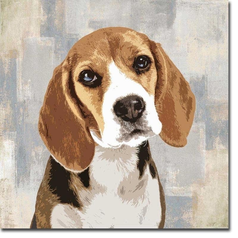 Beagle by Keri Rodgers Gallery Wrapped Canvas Giclee Art (24 in x 24 in, Ready to Hang)