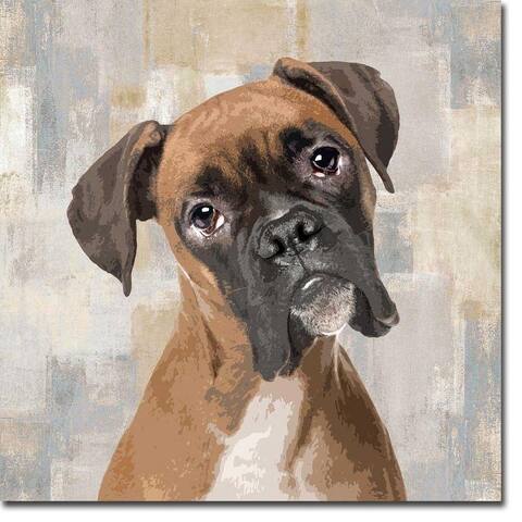 Boxer by Keri Rodgers Gallery Wrapped Canvas Giclee Art (24 in x 24 in, Ready to Hang)