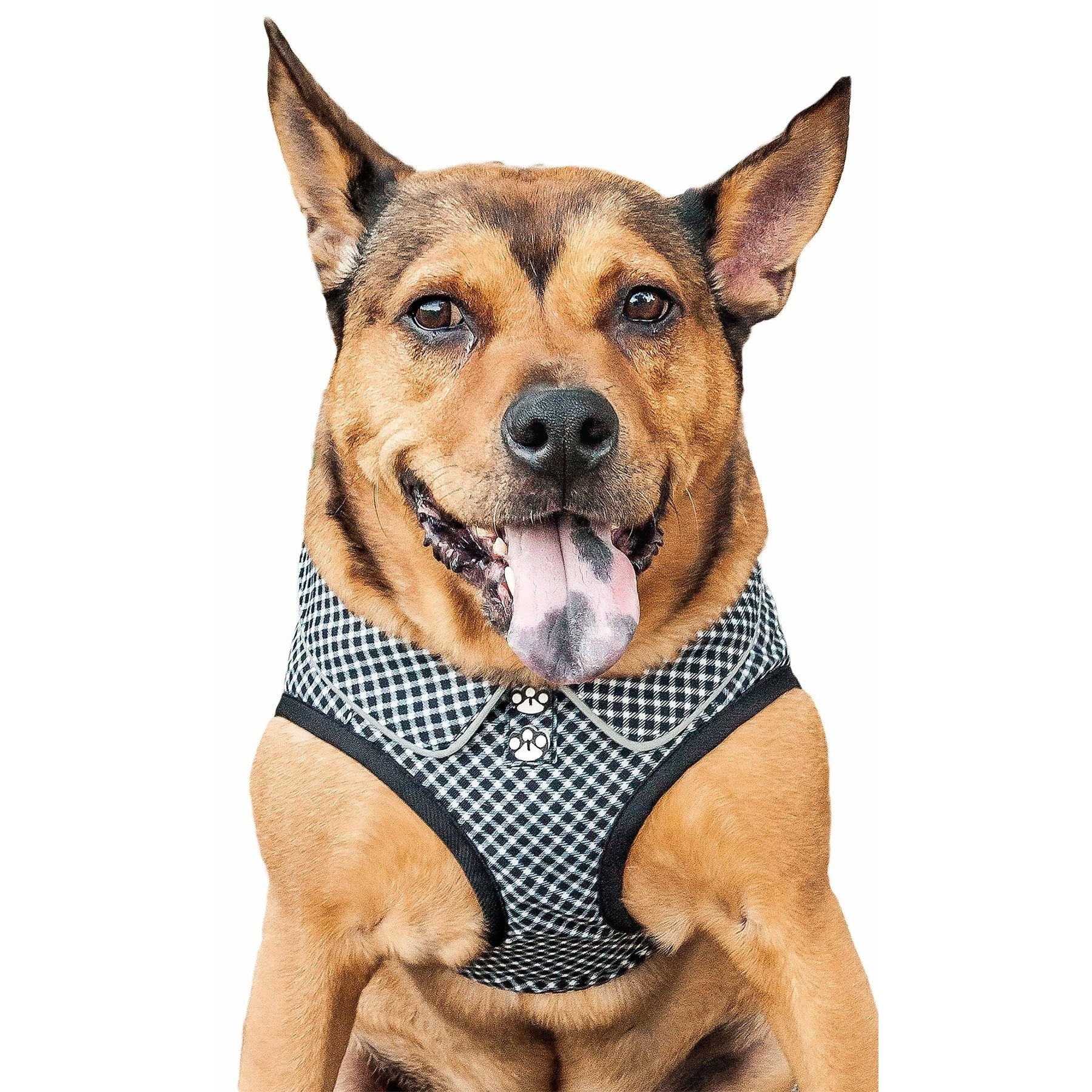pet life harness