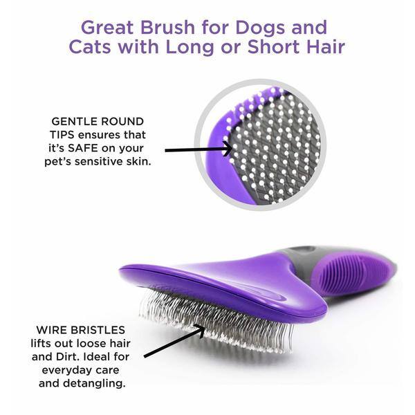 best cat brush for sensitive skin