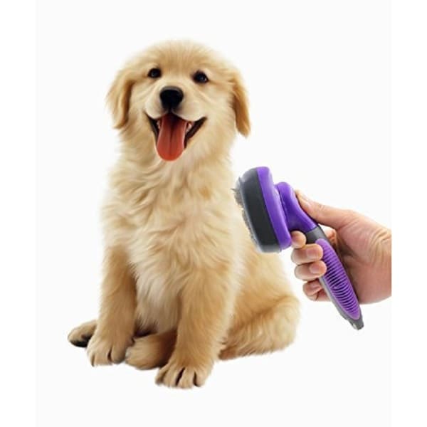 Spetacular Self Cleaning Slicker Grooming Brush for Dogs /& Cats Easy to Clean /& Gentle to Your Pet