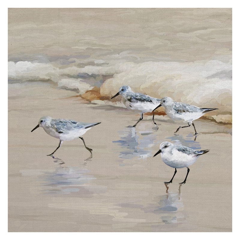 Masterpiece Art Gallery Sandpiper Beach I Amber By Studio Arts Canvas Art Print - Multi-color