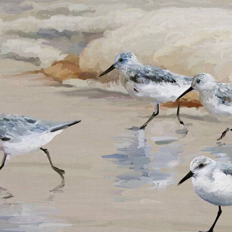 Masterpiece Art Gallery Sandpiper Beach I Amber By Studio Arts Canvas Art Print - Multi-color